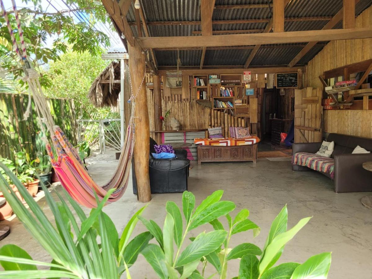 Хостел Roots Family Puerto Viejo de Talamanca Екстер'єр фото