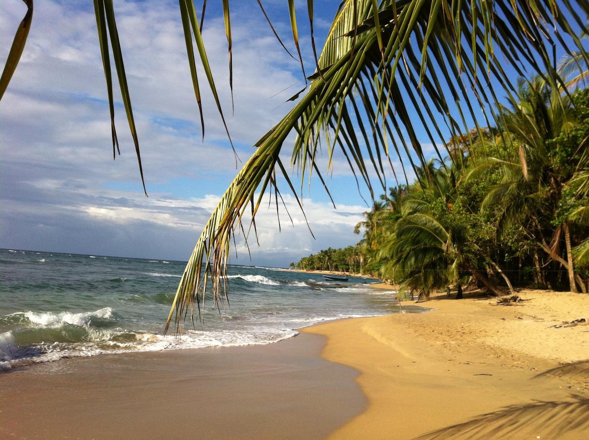 Хостел Roots Family Puerto Viejo de Talamanca Екстер'єр фото